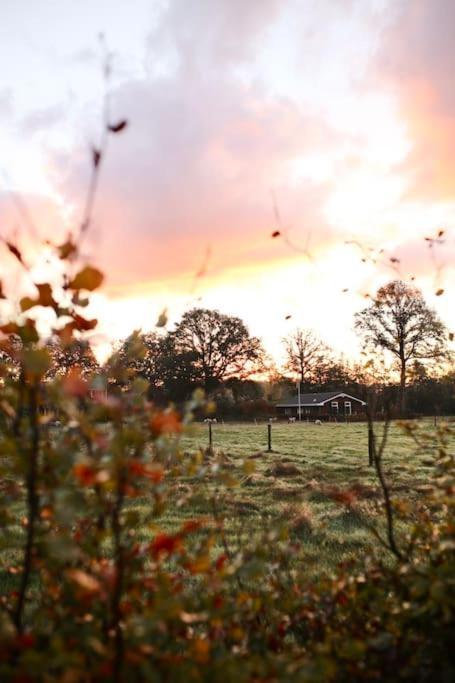 Heerlijk Op De Veluwe In * Putten