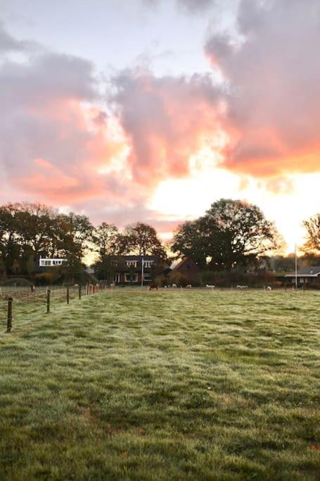 Heerlijk Op De Veluwe In *