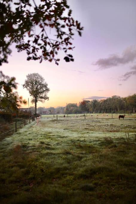 Heerlijk Op De Veluwe In *
